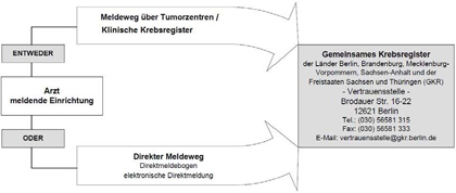 Schema der Meldewege